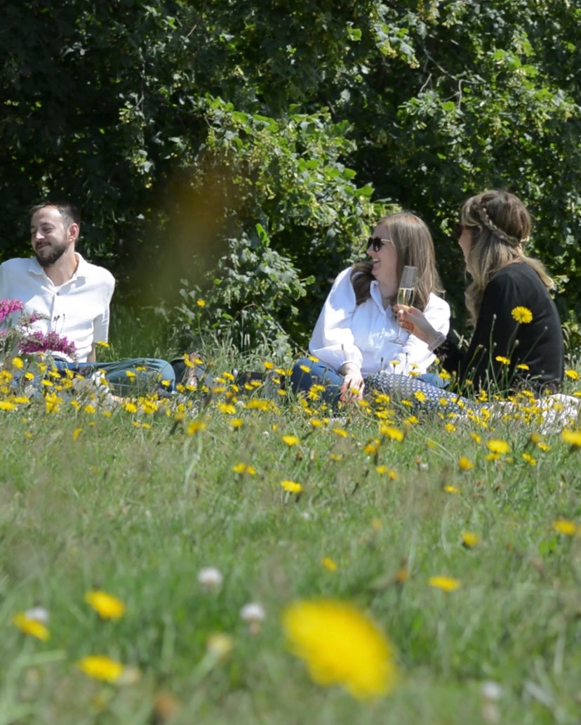 picnic ideas