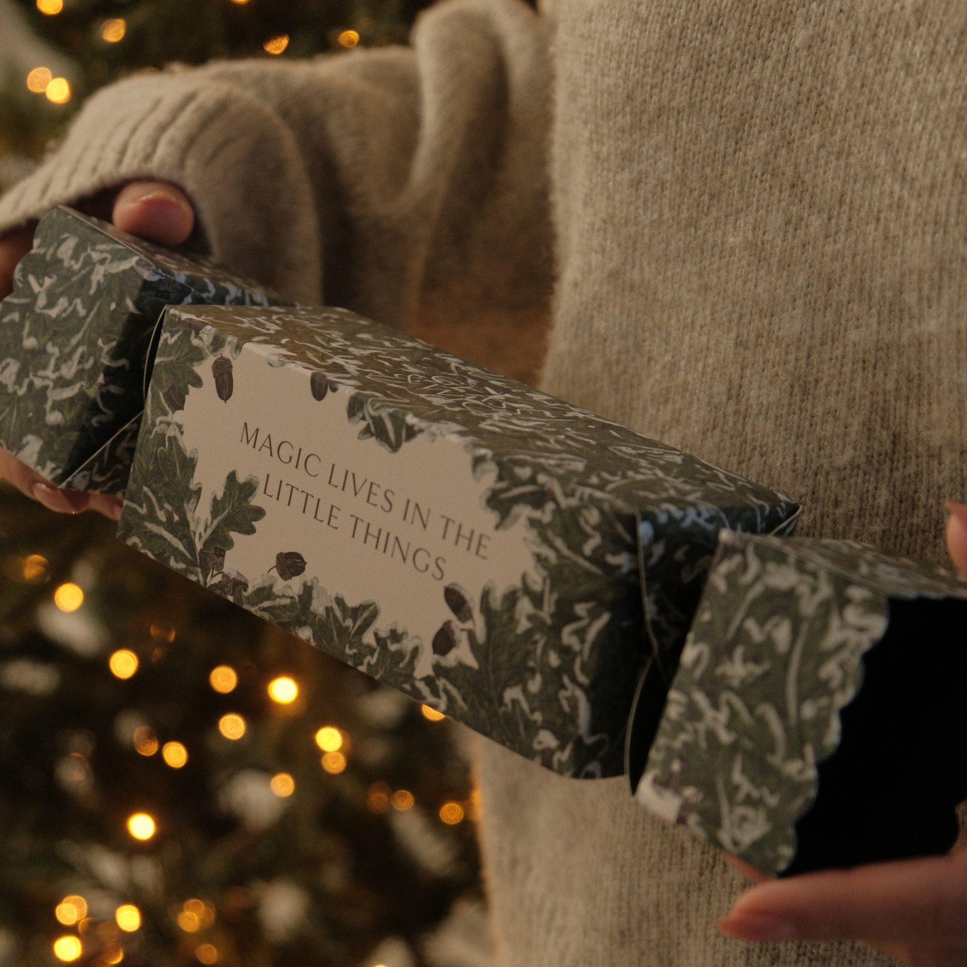 Unearthing Collection Wax Melt Christmas Cracker