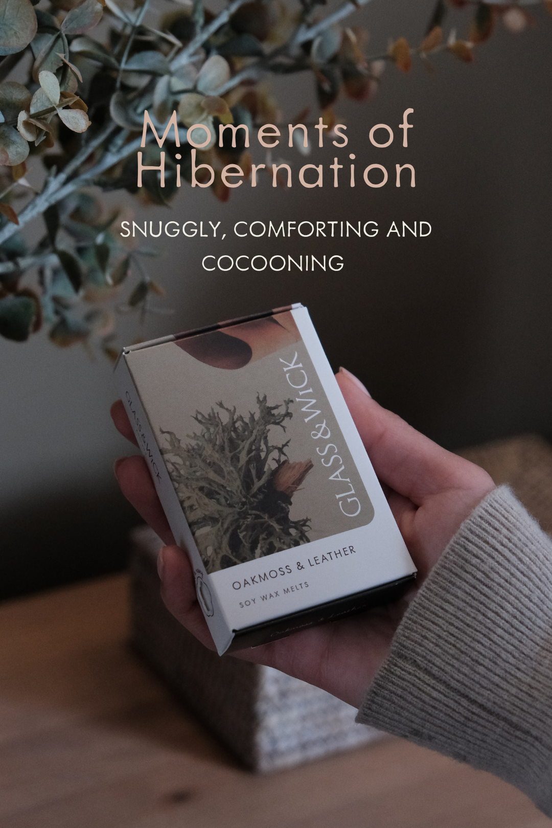 Moments of Hibernation