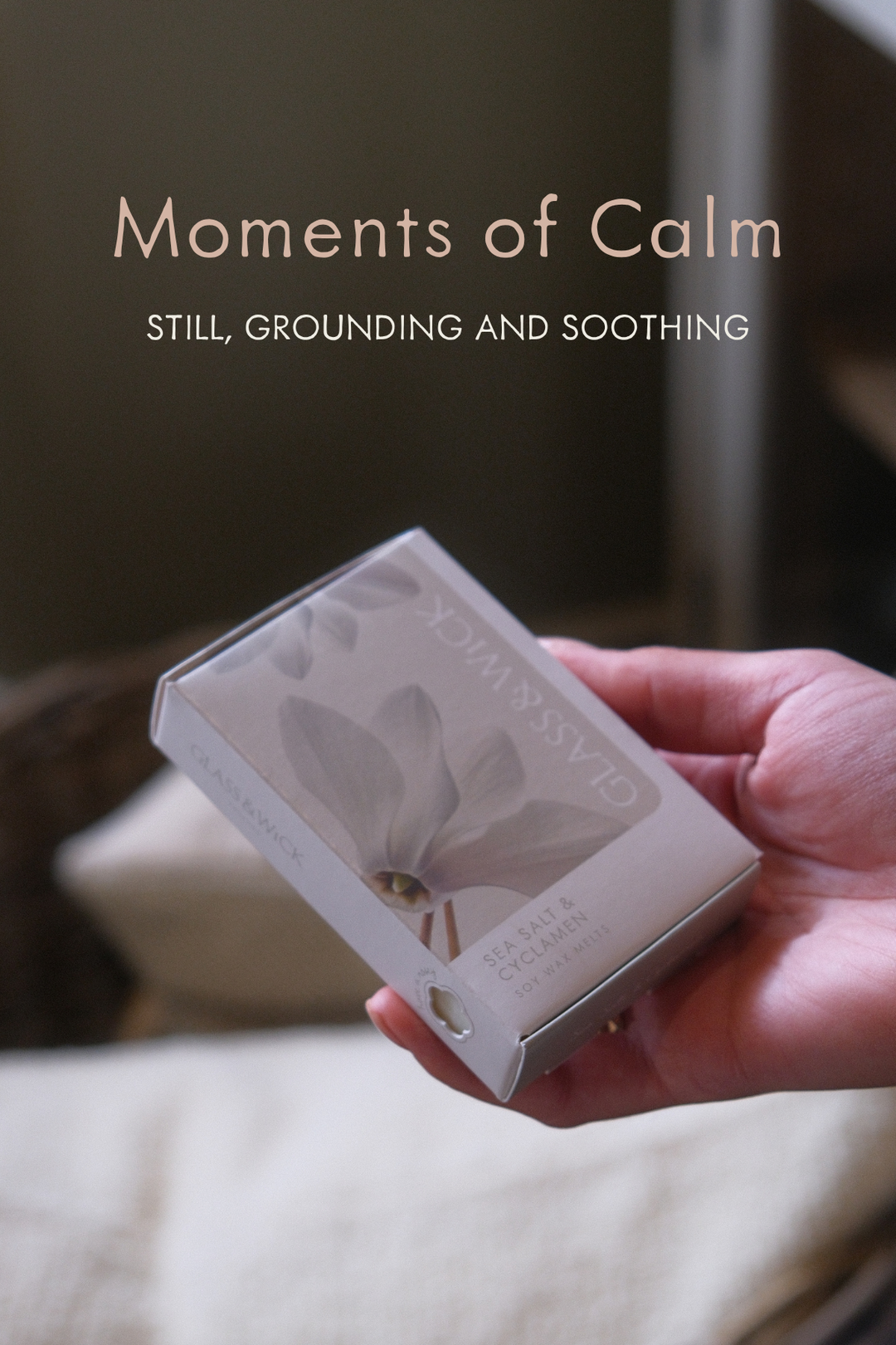 Moments of Calm