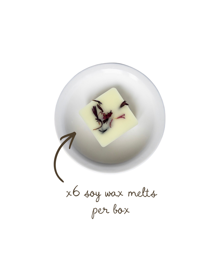Cinnamon Apples Soy Wax Melts