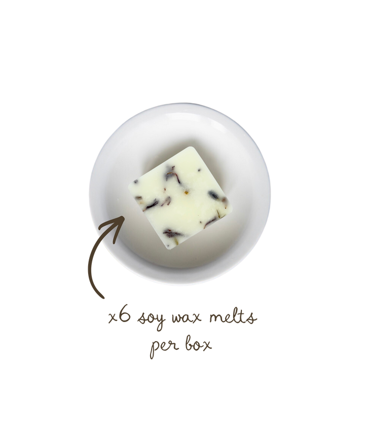 Lavender Noir Soy Wax Melts