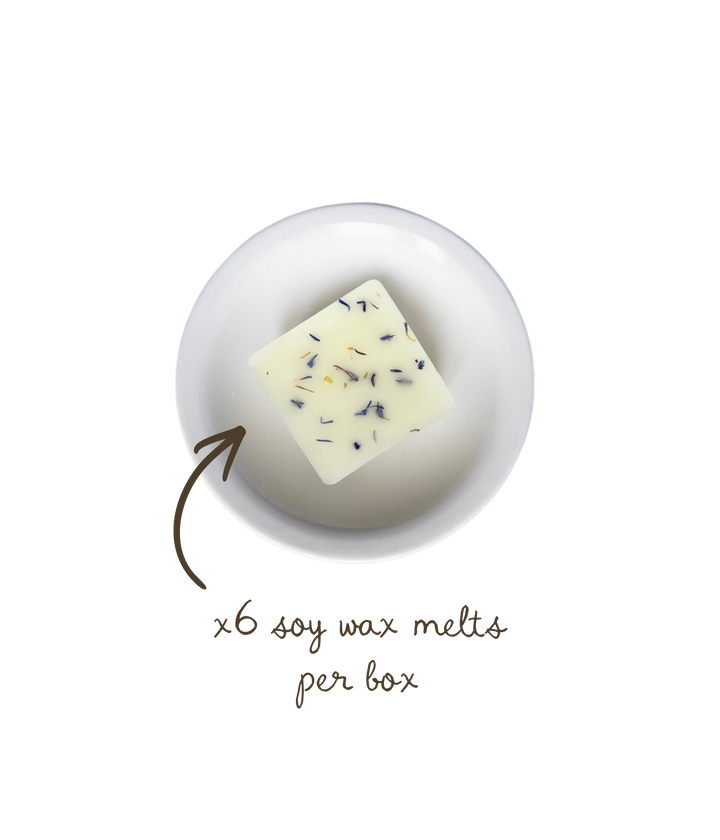 Sea Salt &amp; Cyclamen Soy Wax Melts