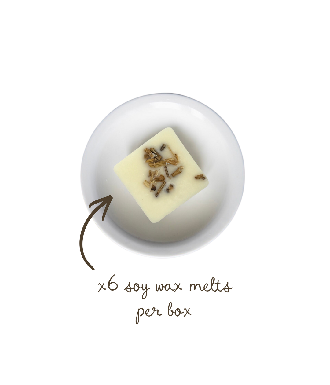 Spiced Pumpkin Soy Wax Melts