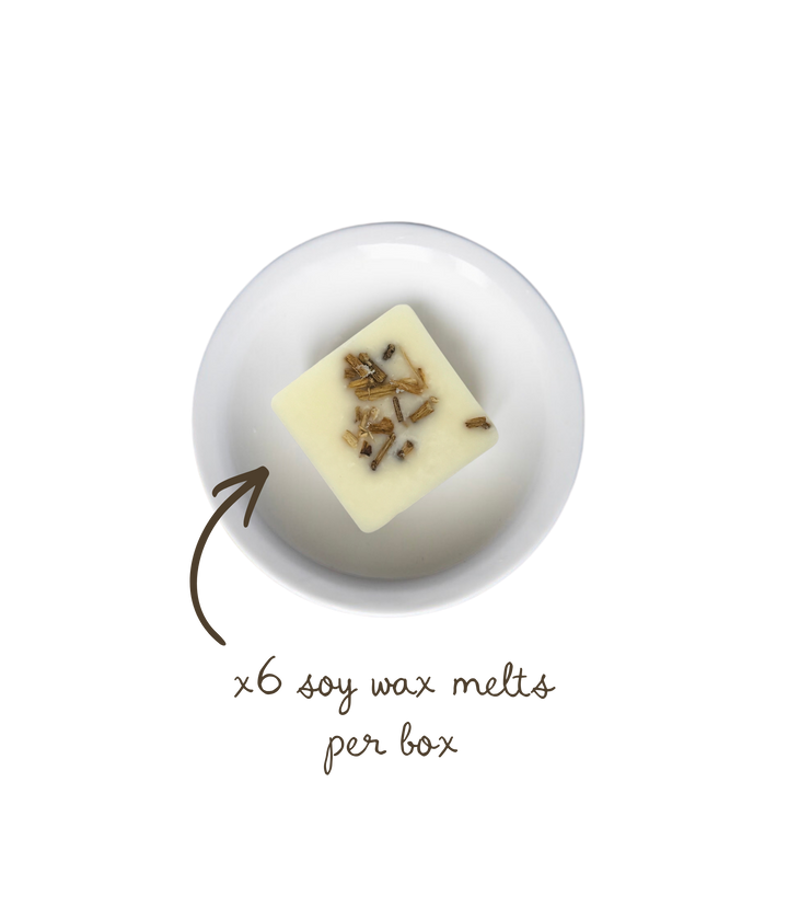 Spiced Pumpkin Soy Wax Melts