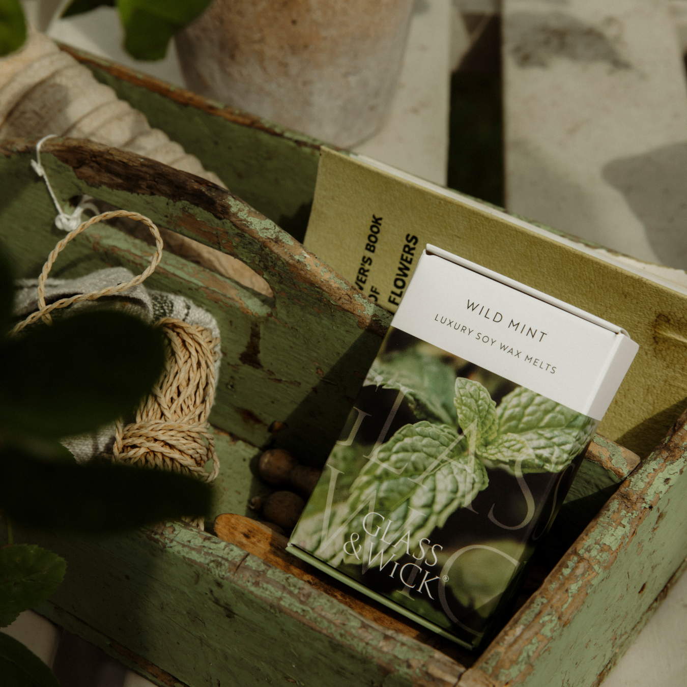Wild Mint Soy Wax Melts