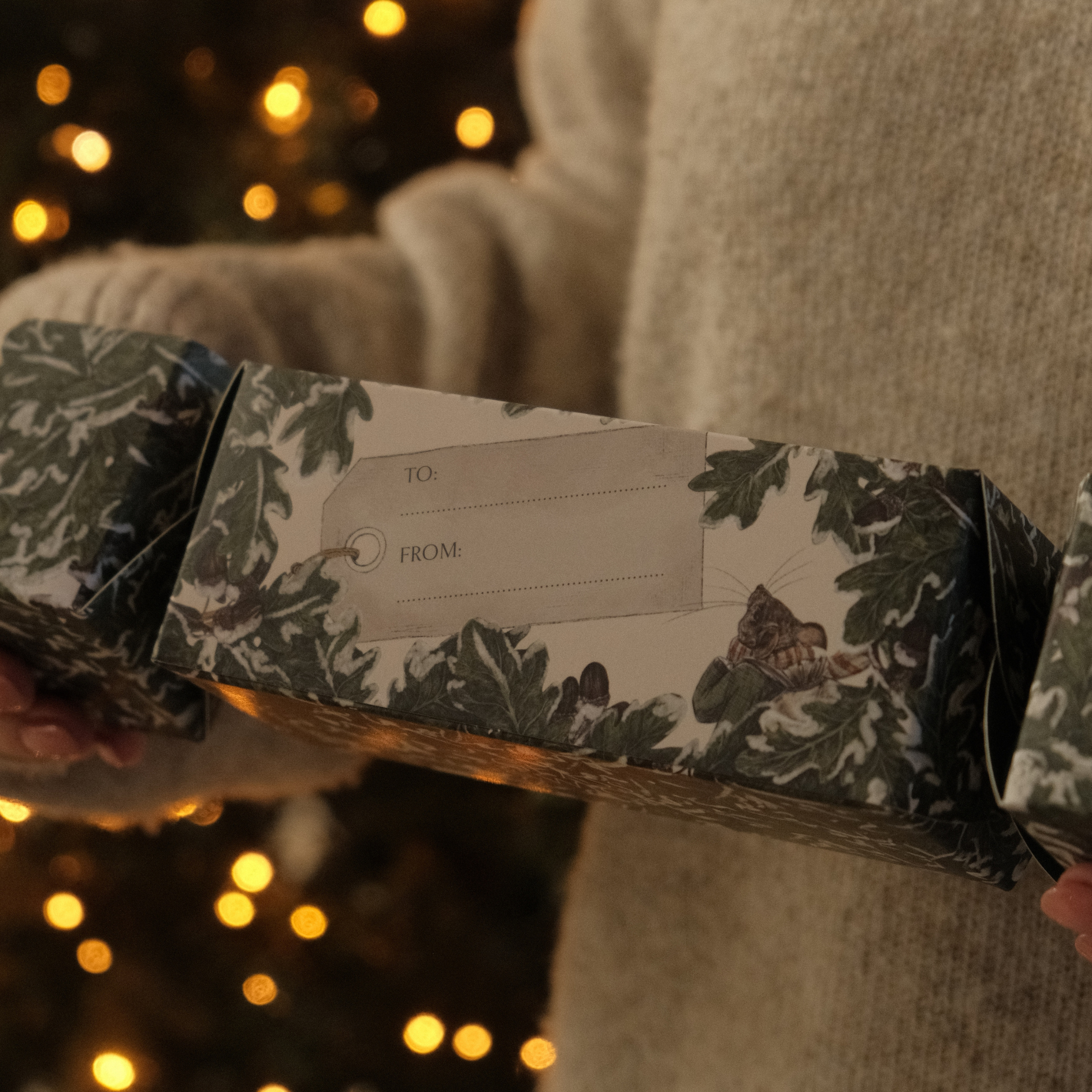 Unearthing Collection Wax Melt Christmas Cracker