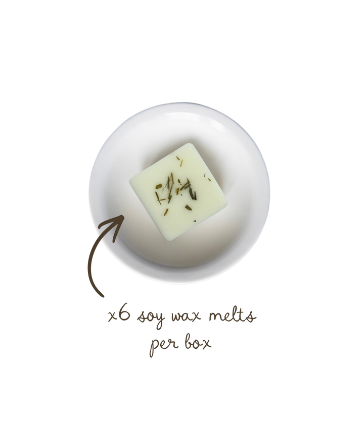Yuzu &amp; Pandan Leaf Soy Wax Melts
