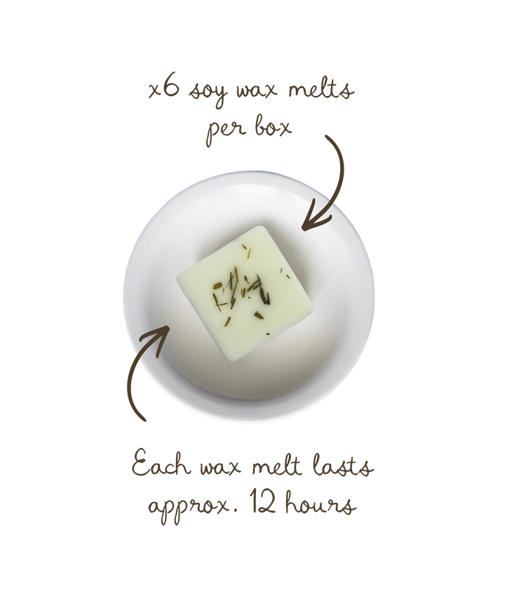 Yuzu &amp; Pandan Leaf Soy Wax Melts