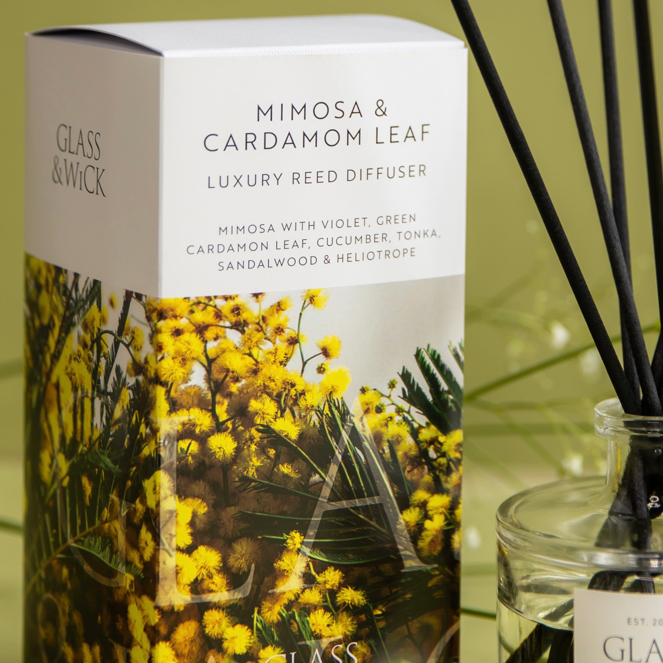 mimosa & cardamom leaf reed diffuser
